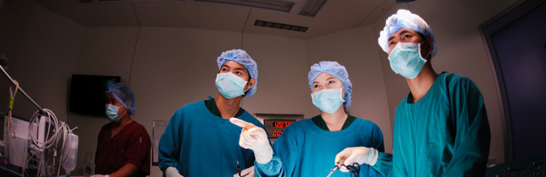 Videolaparoscopia Cirúrgica - BedMed