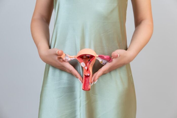 Imagem de mulher segurando um útero