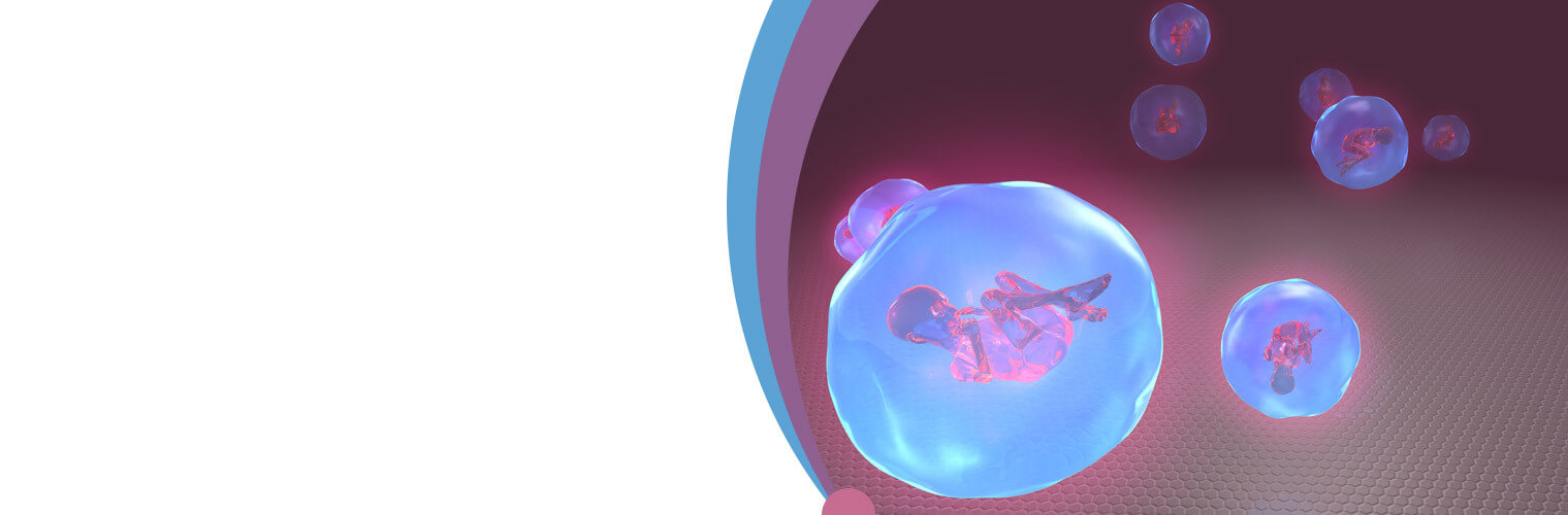 Banner 2