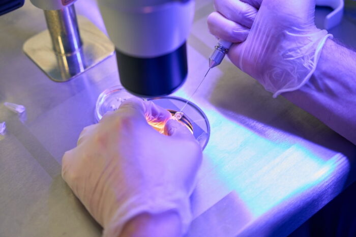 Profissional realizando uma fertilização em laboratório.