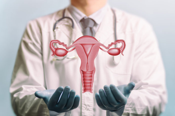 Médico segura um protótipo de um útero