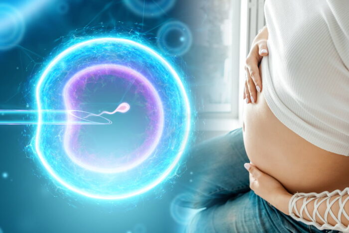 Mulher grávida ao lado da imagem ilustrativa de um procedimento de inserção do espermatozoide em um óvulo.