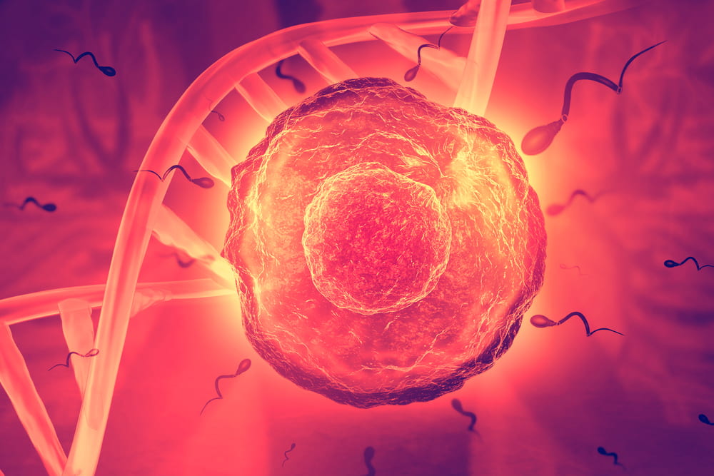 Imagem ilustrativa de espermatozoides ao redor de um óvulo com uma célula de DNA ao fundo. A imagem está com as cores vermelho e amarelo.