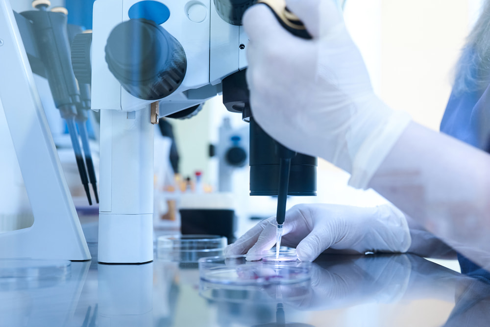 Médico realizando o procedimento de fertilização in vitro.