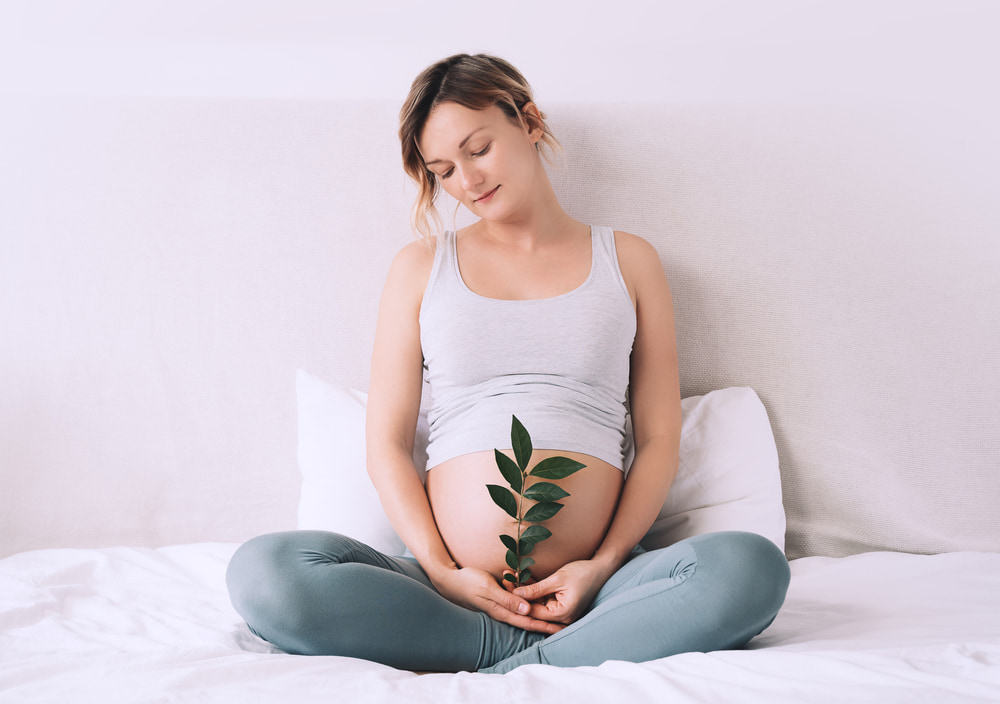 Mulher grávida com uma folha na frente de sua barriga.