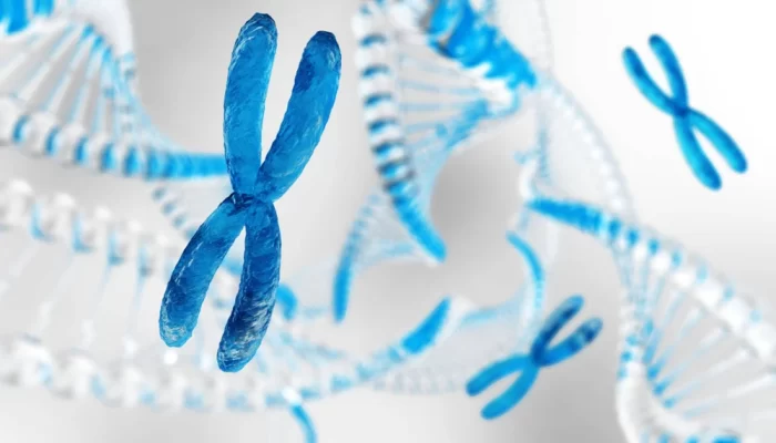imagem ilustrativa de cromossomo para representar a síndrome do x Frágil