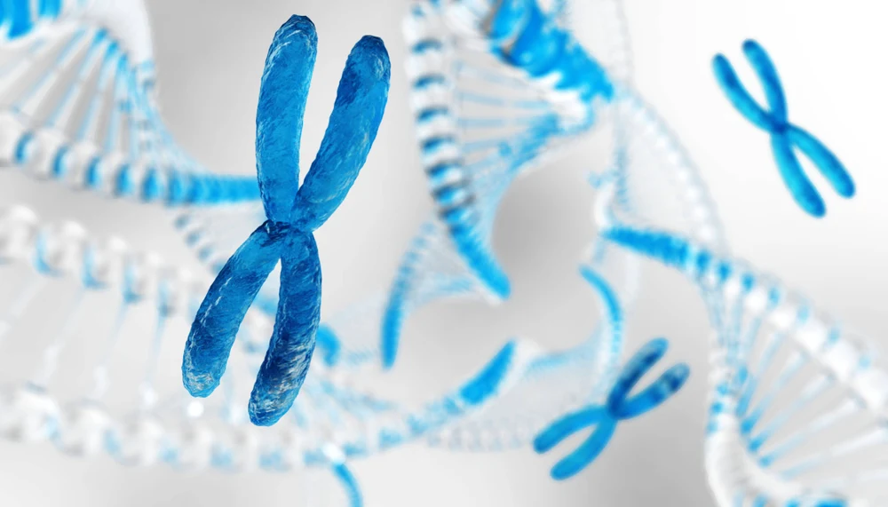imagem ilustrativa de cromossomo para representar a síndrome do x Frágil