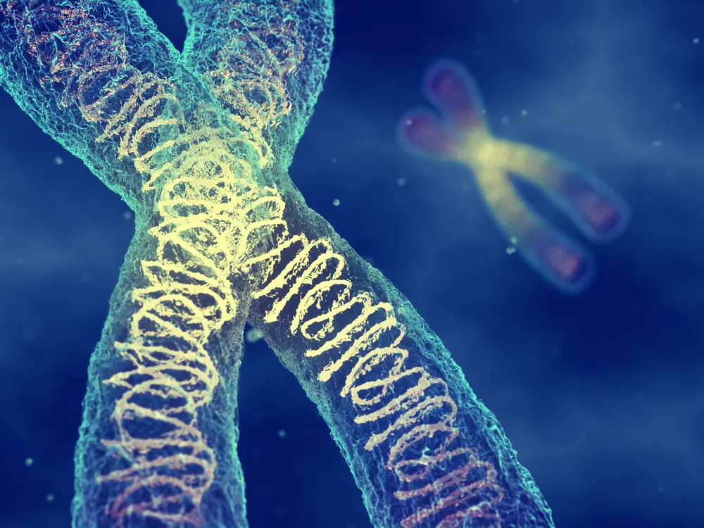 imagem ilustrativa de cromossomos para representar os tipos de aneuploidias
