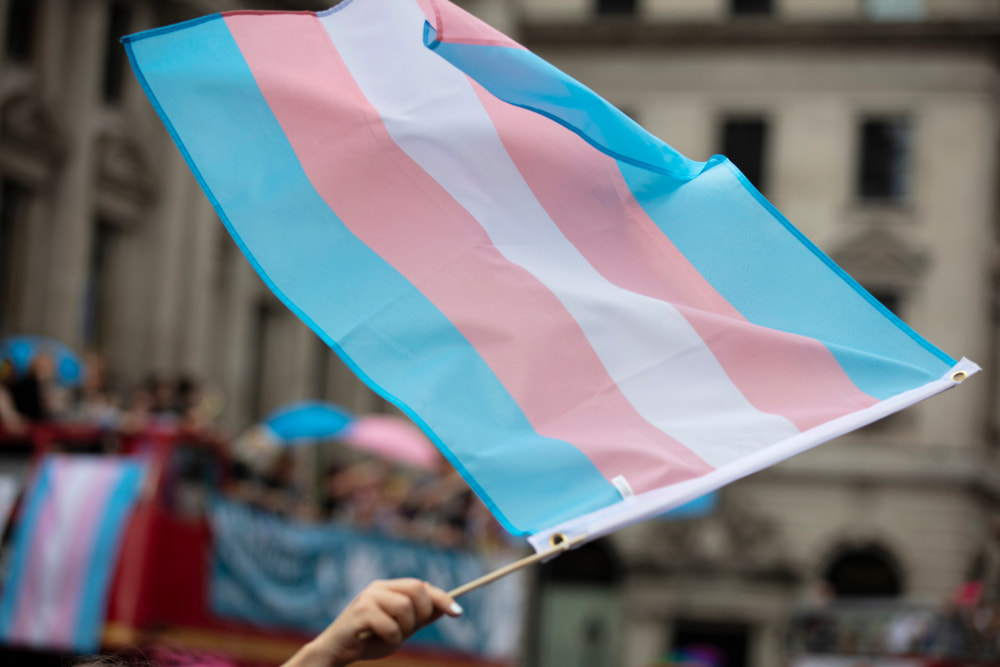 Uma bandeira transgênero sendo acenada na marcha do orgulho homossexual LGBT