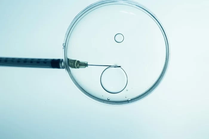 FIV (Fertilização in Vitro): O que é e como é feita