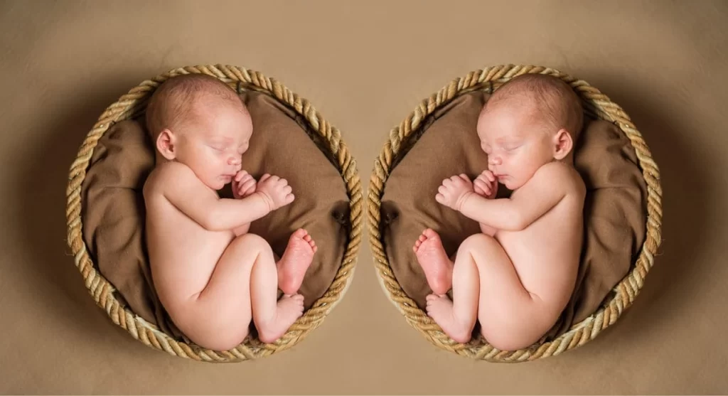 Dois bebês idênticos em cesto representando gravidez de gêmeos após FIV.