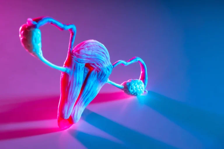 O que são folículos antrais e qual é a sua importância?