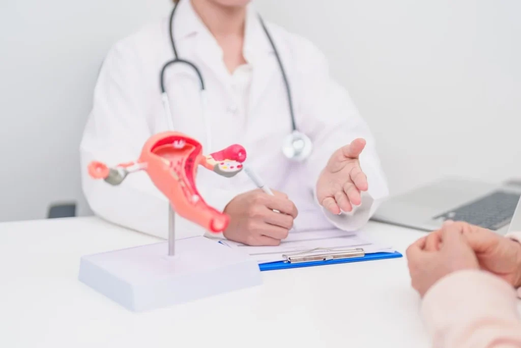 Médica e paciente observando modelo anatômico ilustrando a relação entre endometriose e FIV.