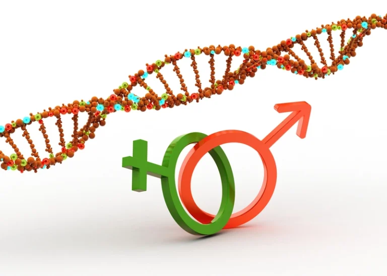 Cariótipo do casal: como o exame pode ajudar na fertilidade?
