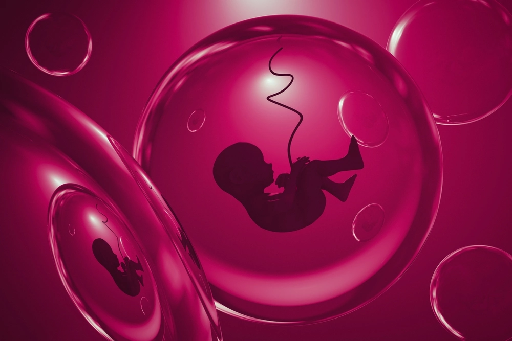 Imagem ilustrativa de embrião