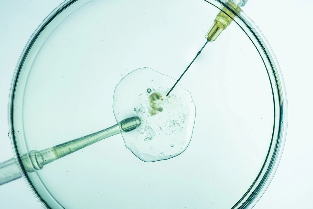Processo de fertilização in vitro, momento científico da concepção